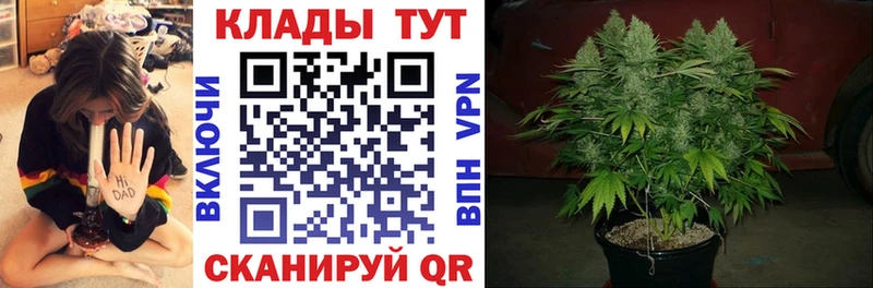Магазин наркотиков Конаково COCAIN СК Галлюциногенные грибы ГАШ Конопля Мефедрон