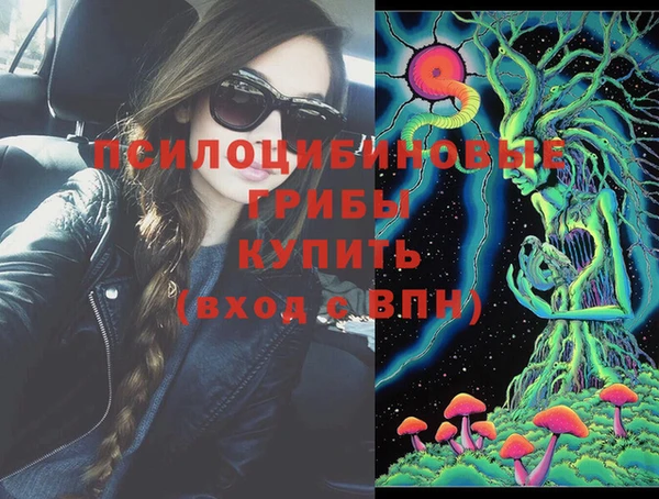 ECSTASY Алексеевка