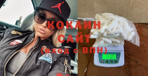 дмт Алзамай